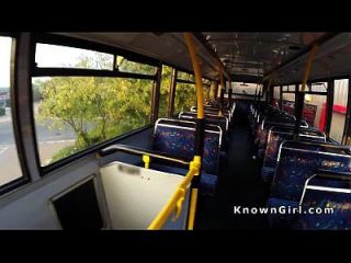 Haarige Britische Amateur-pony Im öffentlichen Bus