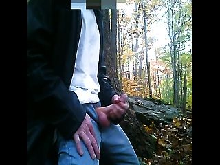 Herbst Ruck In Den Wald