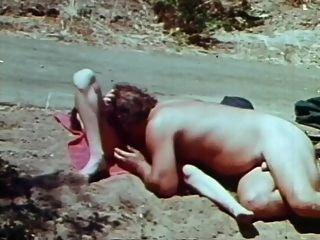 Sex-picknick 1971